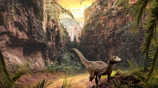 У галеонозавра были очень мощные задние лапы / Фото: pixabay.com