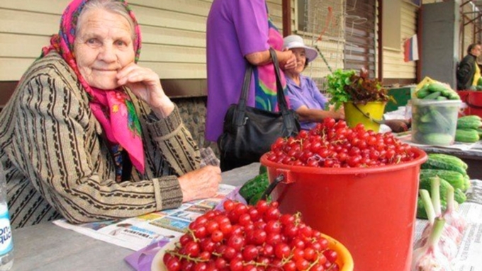 Снижение НДС на ягоды решается в рамках дискуссии между правительством и финансовым блоком / Фото: womenjournal2019.ru
