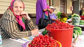 Снижение НДС на ягоды решается в рамках дискуссии между правительством и финансовым блоком / Фото: womenjournal2019.ru