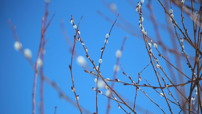 Осадков синоптики не прогнозируют / Фото: Екатерина Смолихина / Amic.ru