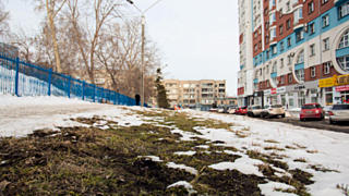 Весна / Фото из архива Amic.ru 