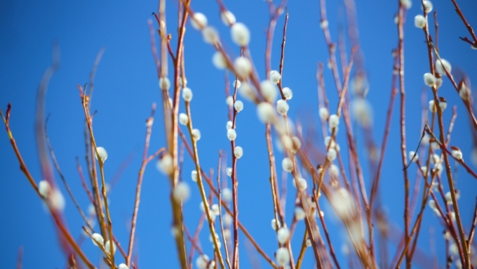 Теплее всего будет в предгорных районах / Фото: Екатерина Смолихина / Amic.ru