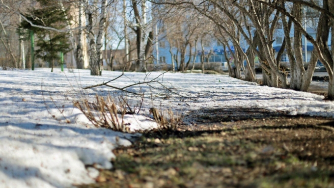 Порывы ветра будут достигать 13 метров в секунду / Фото: Екатерина Смолихина / Amic.ru