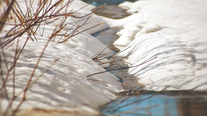 Порывы ветра в этот день будут достигать 15 метров в секунду / Фото: Екатерина Смолихина / Amic.ru