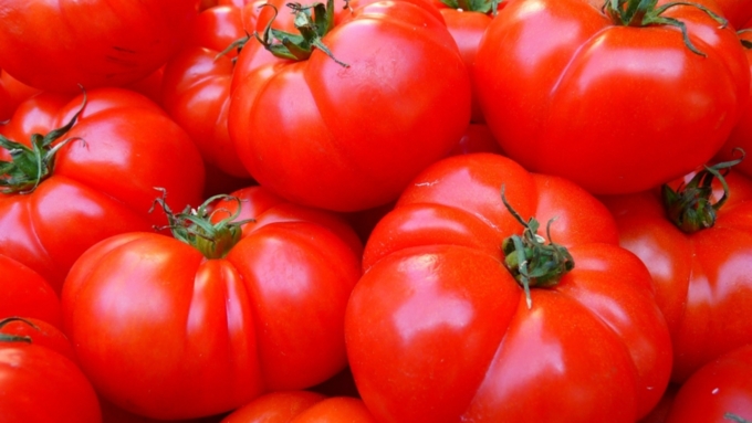 Квоту на поставку турецких помидоров могут поднять до 150 тысяч тонн в год / Фото: pixabay.com