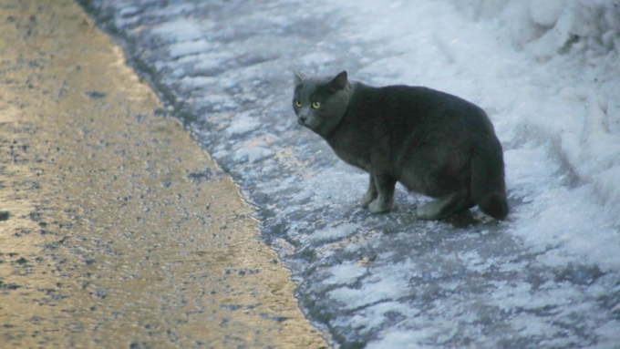 Погода в регионе продолжает быть по-весеннему нестабильной / Фото: Екатерина Смолихина / Amic.ru