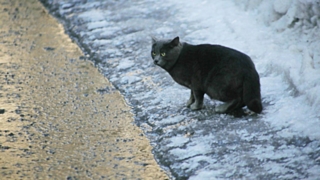 Погода в регионе продолжает быть по-весеннему нестабильной / Фото: Екатерина Смолихина / Amic.ru
