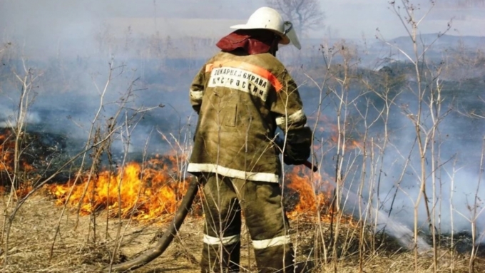 Сводный план тушения лесных пожаров предусматривает привлечение 1479 человек и более 700 единиц техники / Фото: twitter.com