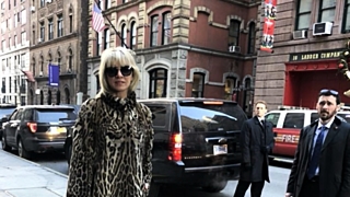 Захарова вспомнила историю с шубой в Нью-Йорке / Фото: woman.ru