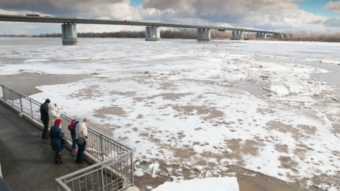 Приходят семьями, чтобы посмотреть на освобождающуюся ото льда Обь / Фото: ap22.ru / Олег Богданов