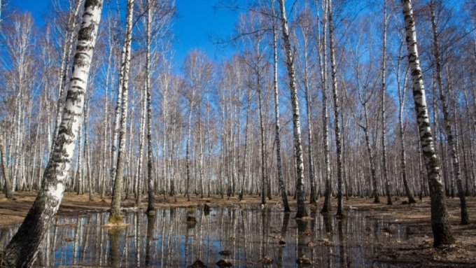 В воскресенье местами в регионе и вовсе ожидаются грозы / Фото: Вячеслав Мельников / Amic.ru