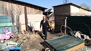На помощь государства Баскаковы никогда не рассчитывали / Фото: кадр из видео