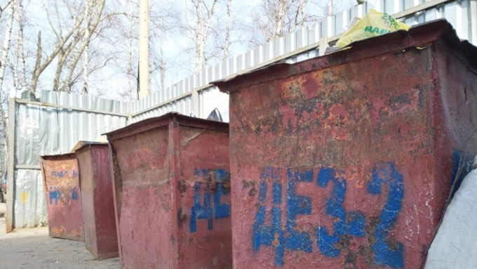 Мусорный контейнер в Барнауле / Фото: Александра Черданцева