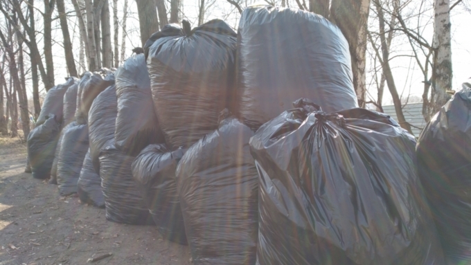 На Алтае снизили плату за вывоз мусора / Фото: Александра Черданцева