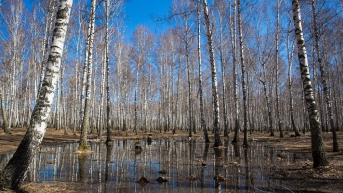 Максимальная температура воздуха в регионе составит +8 градусов / Фото: Вячеслав Мельников / Amic.ru