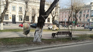 Фото: Александра Черданцева