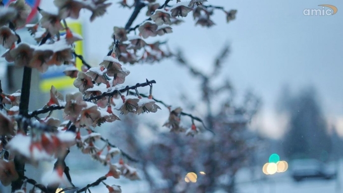 Порывы ветра будут достигать 23 метров в секунду / Фото: Екатерина Смолихина / Amic.ru