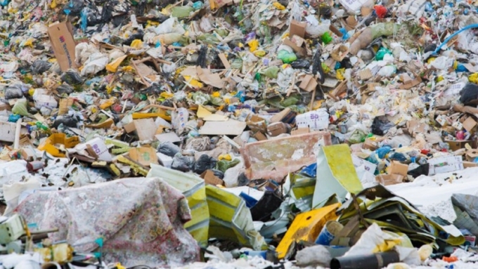 Барнаульский мусорный полигон / Фото: Вячеслав Мельников / Amic.ru