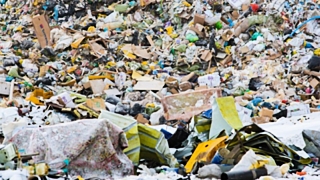 Барнаульский мусорный полигон / Фото: Вячеслав Мельников / Amic.ru