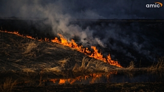 Также в крае запрещено разводить костры и проводить пожароопасные работы / Фото: Екатерина Смолихина / Amic.ru