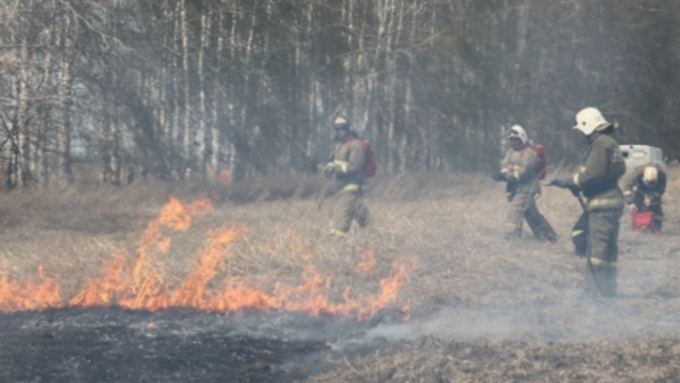 Все случаи возникновения пожаров будут расследоваться / Фото: ГУ МЧС России по Алтайскому краю