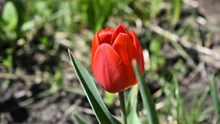 Осадков в этот день в регионе не ожидается / Фото: Причиненко Константин / Amic.ru