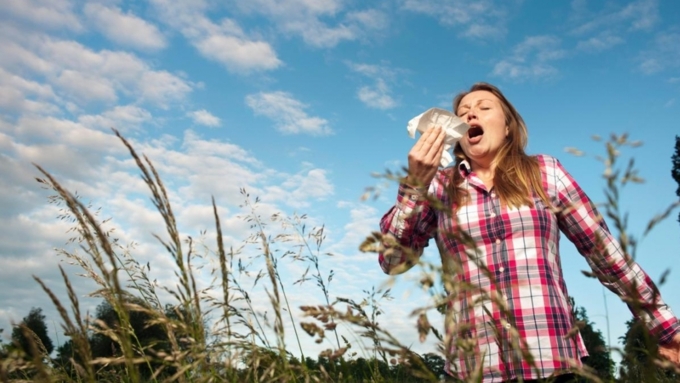 В сезон пыления специалисты рекомендуют аллергикам пройти симптоматическую терапию / Фото: thescottishsun.co.uk