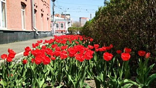 Порывы ветра в регионе будут достигать 12 метров в секунду / Фото: Константин Причиненко / Amic.ru 