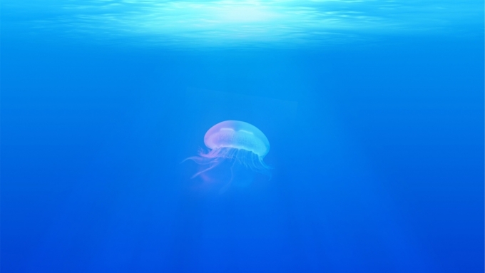 Ученые сделали удивительное открытие, исследуя микроорганизмы, полученные в глубинных водах океана / Фото: pixabay.com
