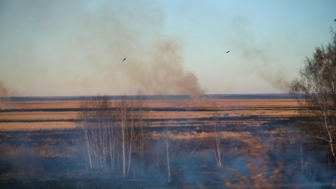 Жителей региона просят быть осторожнее с огнем / Фото: Екатерина Смолихина / Amic.ru