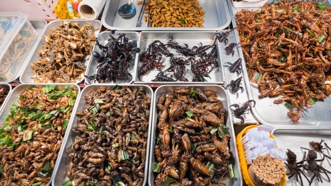 Производство мяса из насекомых экологически чище / Фото: if24.ru