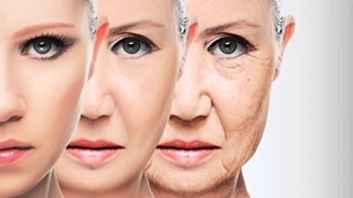 По словам ученых, именно теломеры являются индикаторами клеточного старения / Фото: ptzgovorit.ru