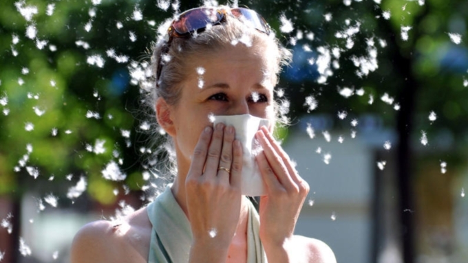 В течение дня необходимо почаще удалять пыльцу со слизистой носа / Фото: amp.vm.ru