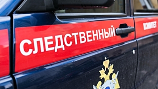 Водитель не имел полиса обязательного страхования автогражданской ответственности / Фото: riastrela.ru