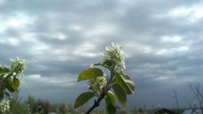 В первую очередь осадки накроют восточные районы и предгорья / Фото: Константин Причиненко / Amic.ru 