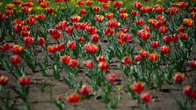 Фото: Екатерина Смолихина / Amic.ru