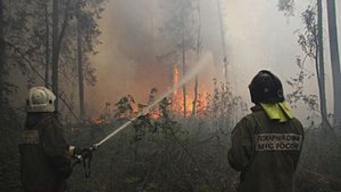 В регионе существует повышенный риск природных пожаров / Фото: 22.mchs.gov.ru