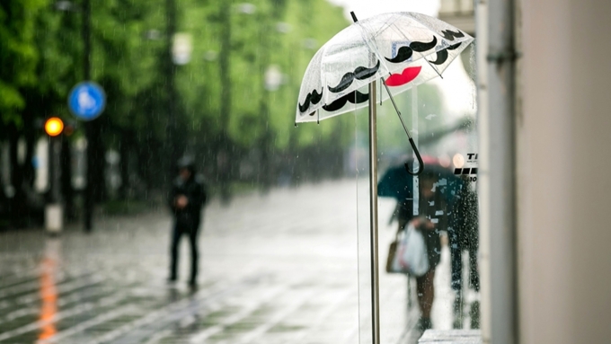 Летний дождь / Фото: 1zoom.me
