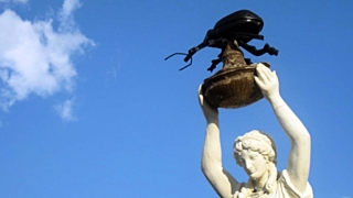 Памятник жуку-долгоносику / Фото: 24warez.ru