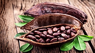 Экстракт какао во многом похож на капсаицин по характеру своего действия / Фото: youtube.com