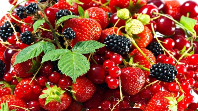 Полезные свойства садовой ягоды / Фото: polza-vred.su