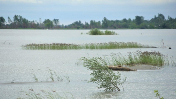 Фото: Екатерина Смолихина / Amic.ru