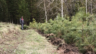 Фото: из архива amic.ru