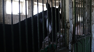 Фото: Екатерина Смолихина/Amic.ru