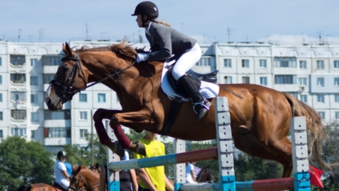 Фото: horse-care.ru