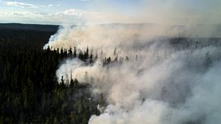 Дым никуда не денется, поскольку пожары будут развиваться / Фото: smi111.ru