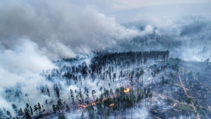Лесные пожары в Сибири / Фото: pikabu.ru
