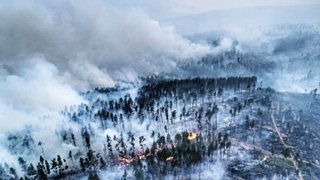 Лесные пожары в Сибири / Фото: pikabu.ru