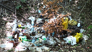 Подобные акции&nbsp;планируется проводить не менее двух раз в месяц / Фото: barnaul.org