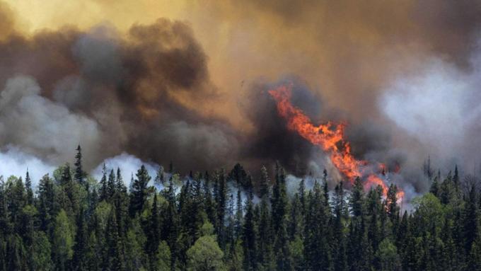 Ежегодно в России огнем уничтожается около 10 миллионов гектаров леса / Фото: agenda-u.org